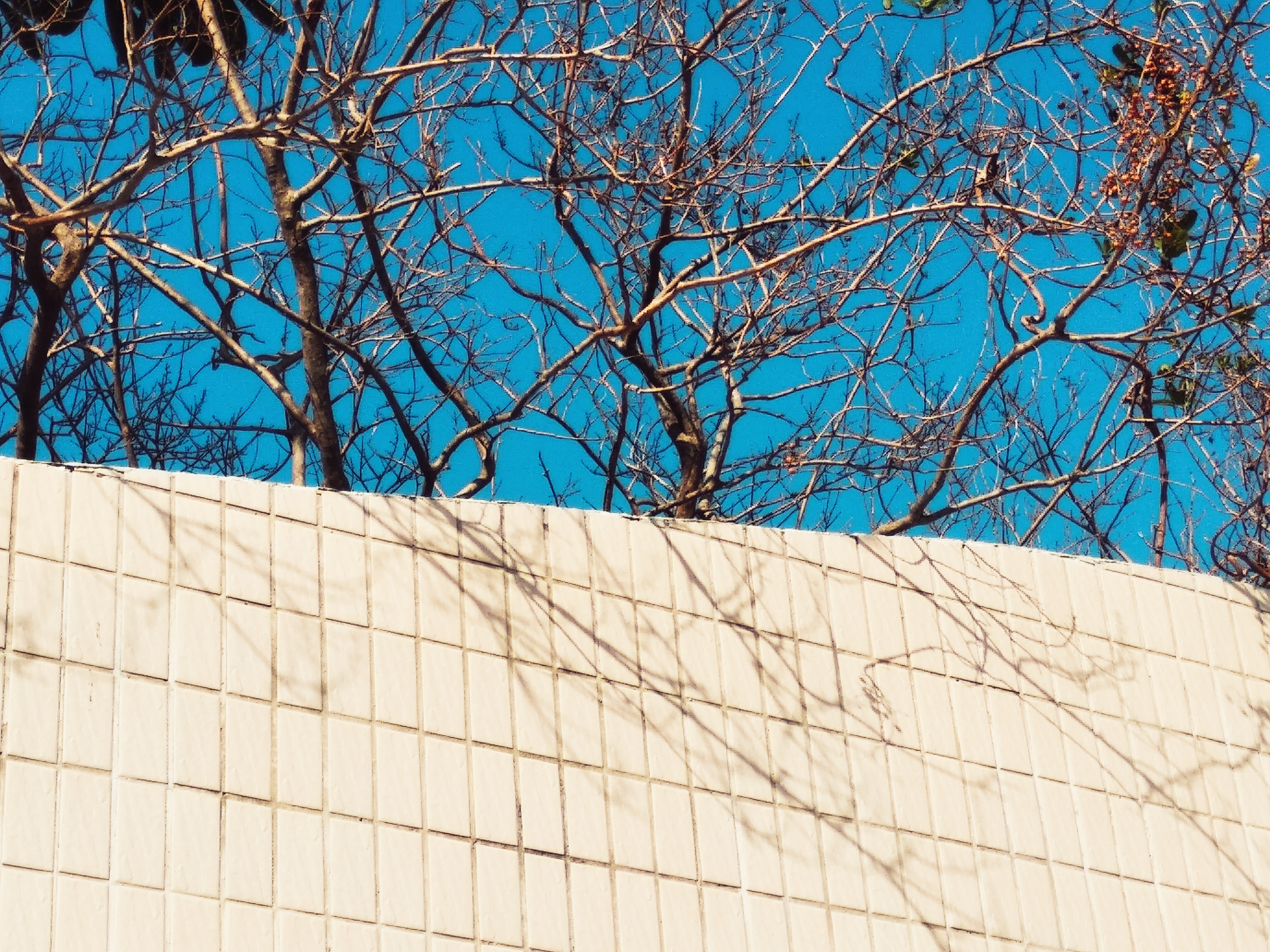图片丢失